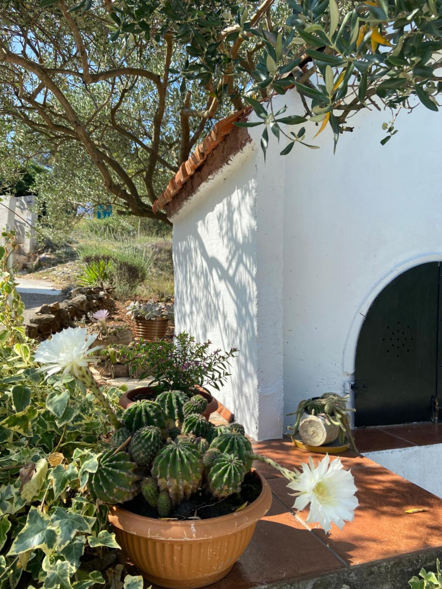 Holiday home Family House Ljubica *